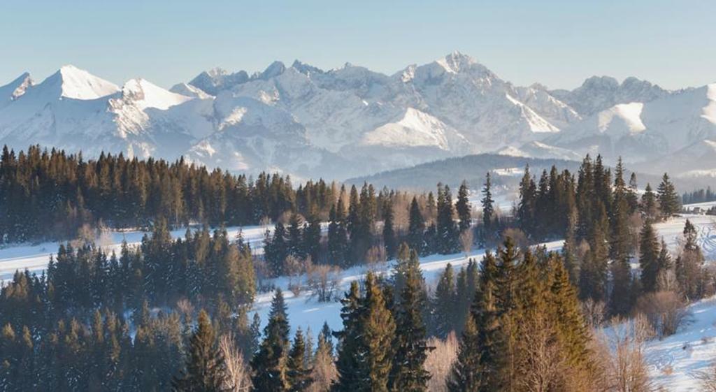 Malgosia Regionalna - 10 Minut Na Piechote Do Stoku Narciarskiego I Term Bania - Posilki Serwowane W Budynku Obok ビャウカ エクステリア 写真
